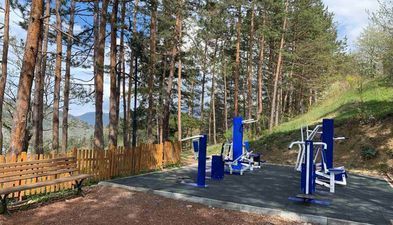 Зеленый дом в Боржоми_4